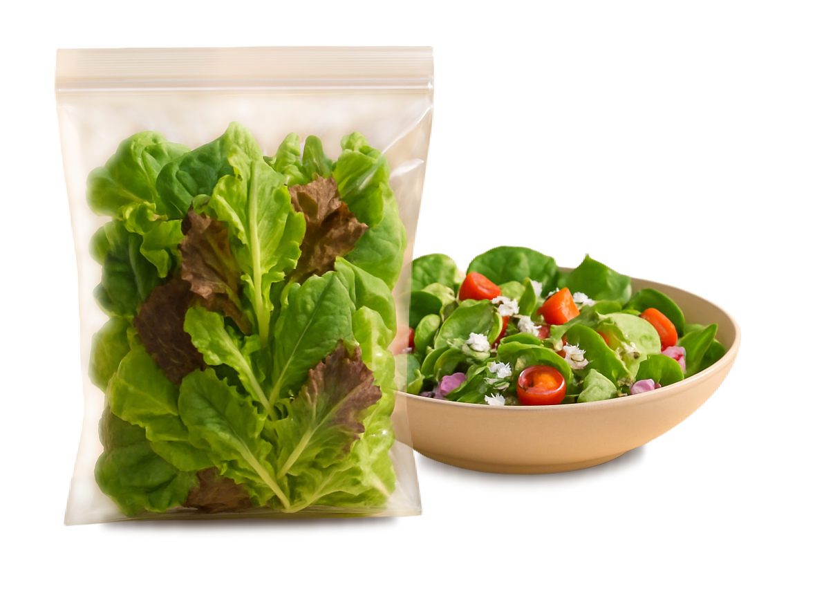 Upcycle Project - Salad Package